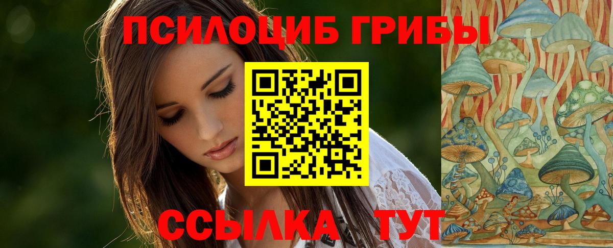 Кизляр  Галлюциногенные грибы мицелий  Вход с VPN 