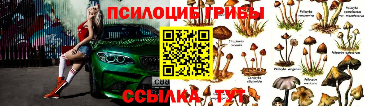 Галлюциногенные грибы GOLDEN TEACHER Кизляр